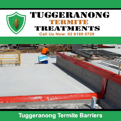 Termite barrier installation at construction in Tuggeranong