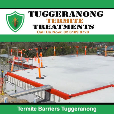 Termite barrier installation on concrete slab in Tuggeranong