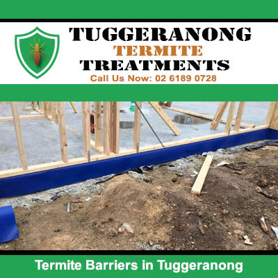 Termite barrier system protecting new home in Tuggeranong
